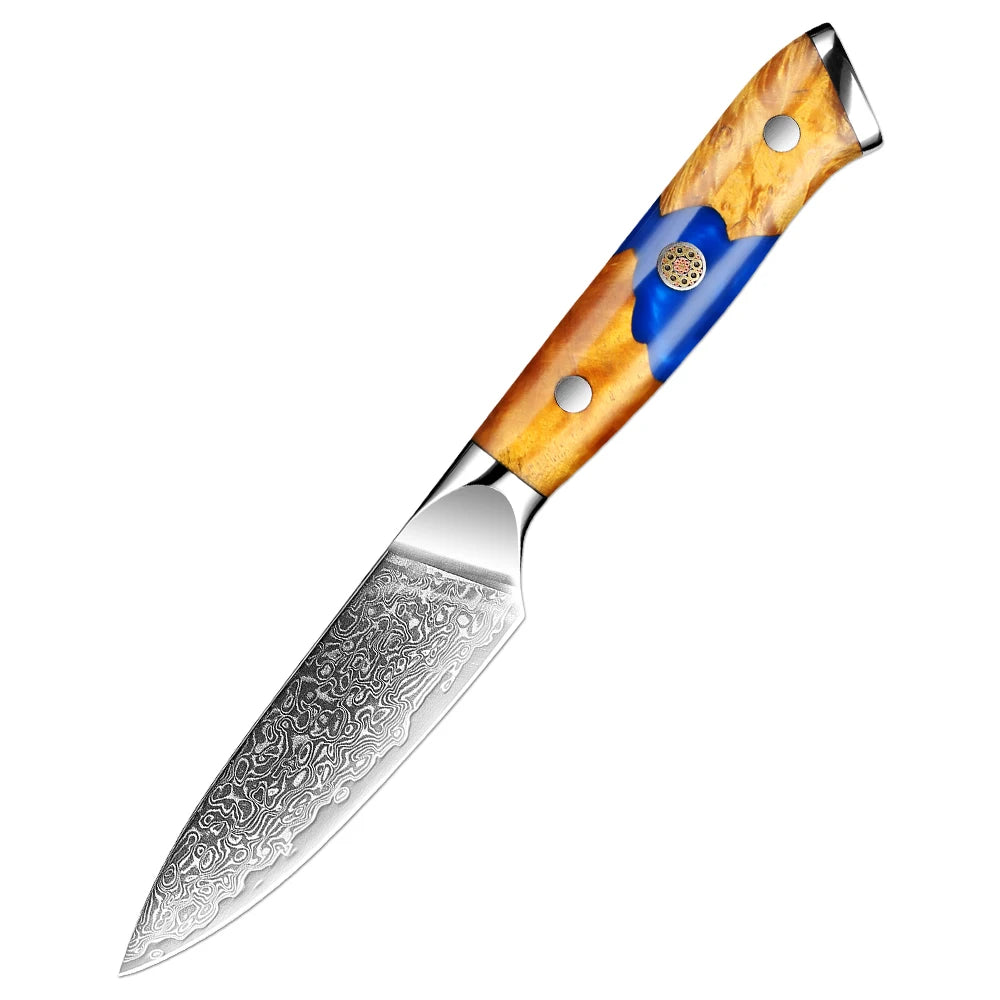 Xituo 67-Layer Japanese Knife Set - Professional Chef Knives with Resin Wooden Handle