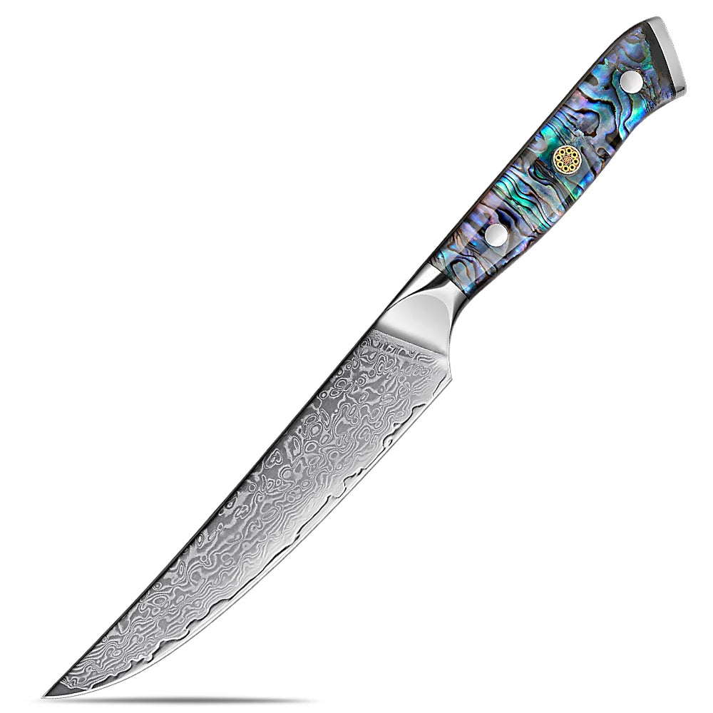 XITUO 5-Piece Japanese Knife Set with Damascus Steel and Abalone Handle