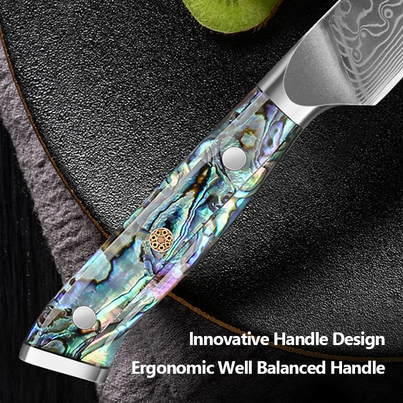 Japanese 67-Layer Damascus Chef Knife Set - Ultra Sharp Kitchen Essentials