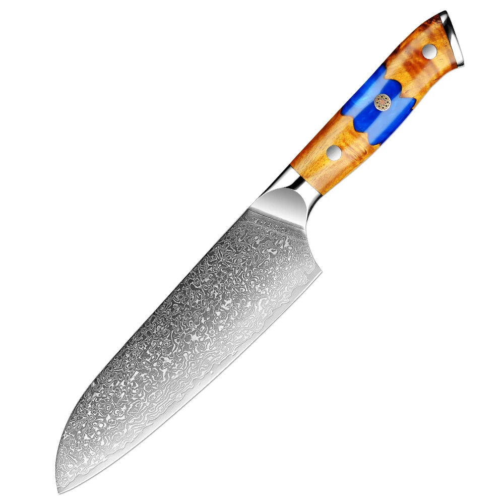 Xituo 67-Layer Japanese Knife Set - Professional Chef Knives with Resin Wooden Handle