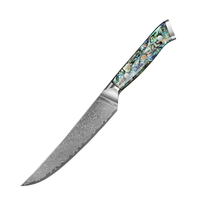 Japanese 67-Layer Damascus Chef Knife Set - Ultra Sharp Kitchen Essentials