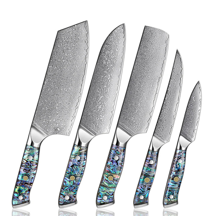 XITUO 5-Piece Japanese Knife Set with Damascus Steel and Abalone Handle