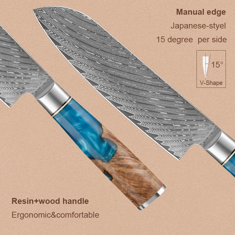 Japanese Damascus Steel Knife Set with Blue Resin Handles