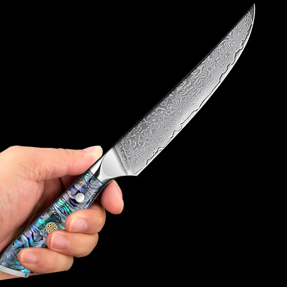 XITUO 5-Piece Japanese Knife Set with Damascus Steel and Abalone Handle