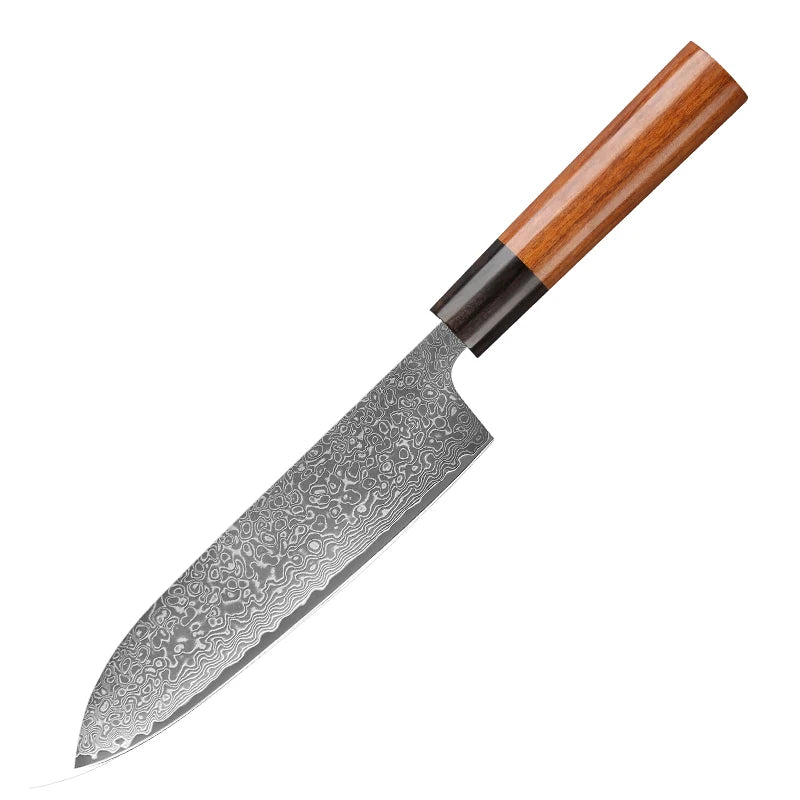 Japanese Knife Set - Ultra Sharp 67-Layer Damascus Steel Kitchen Knives