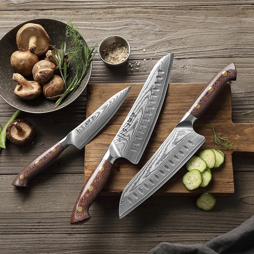 HEZHEN Japanese Knife Set - 3PC Damascus Steel with Micarta Handles
