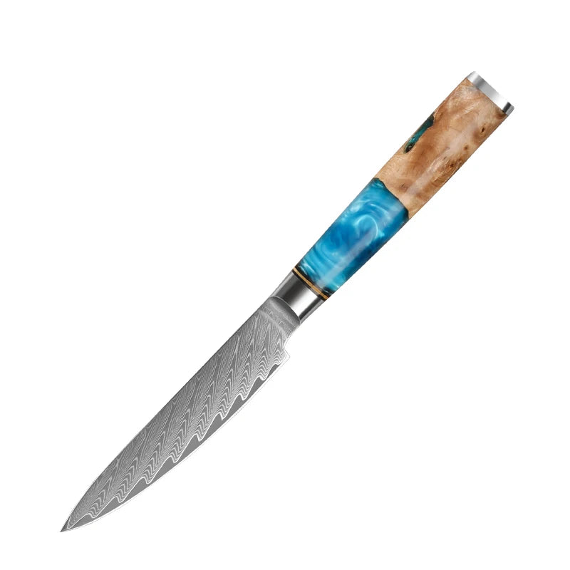 Japanese Damascus Steel Knife Set with Blue Resin Handles