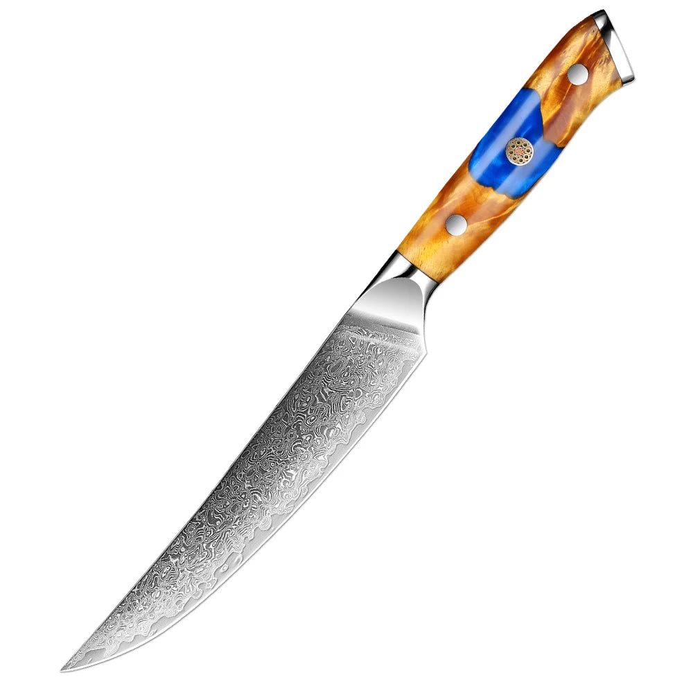 Xituo 67-Layer Japanese Knife Set - Professional Chef Knives with Resin Wooden Handle