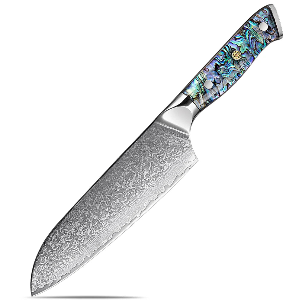 XITUO 5-Piece Japanese Knife Set with Damascus Steel and Abalone Handle