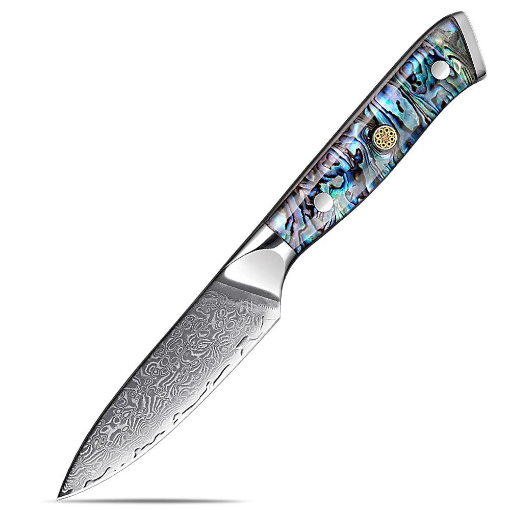 XITUO 5-Piece Japanese Knife Set with Damascus Steel and Abalone Handle