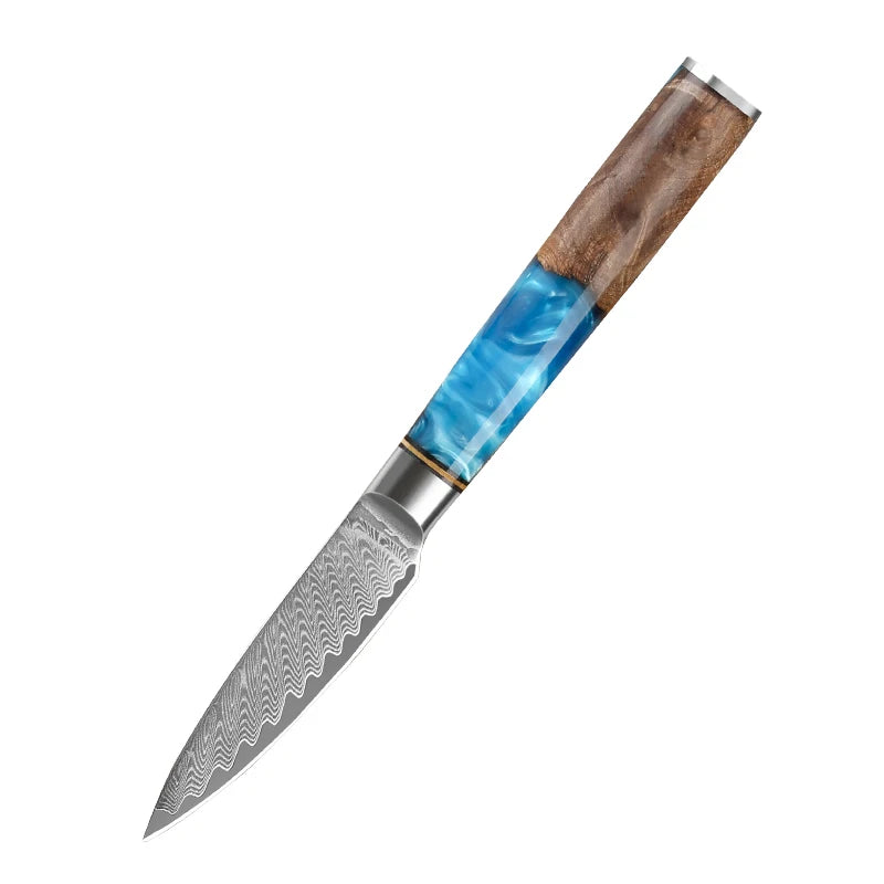 Japanese Damascus Steel Knife Set with Blue Resin Handles